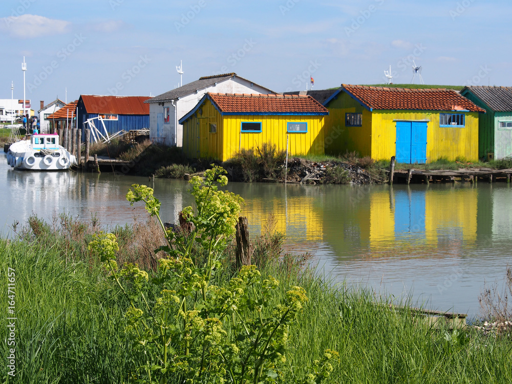 Obraz premium Cabanes colorées typiques à l'îLe d'Oléron, France