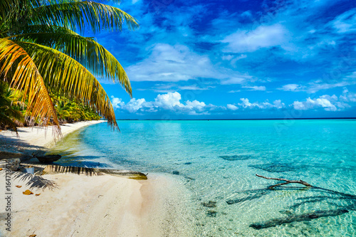 Fototapeta Naklejka Na Ścianę i Meble -  lagoon beach