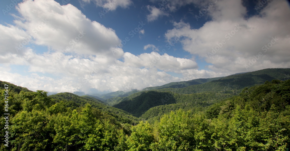 Obraz premium Blick über den Great Smokeys Nationalpark