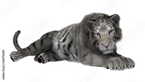 Fototapeta Naklejka Na Ścianę i Meble -  3D Rendering White Tiger on White