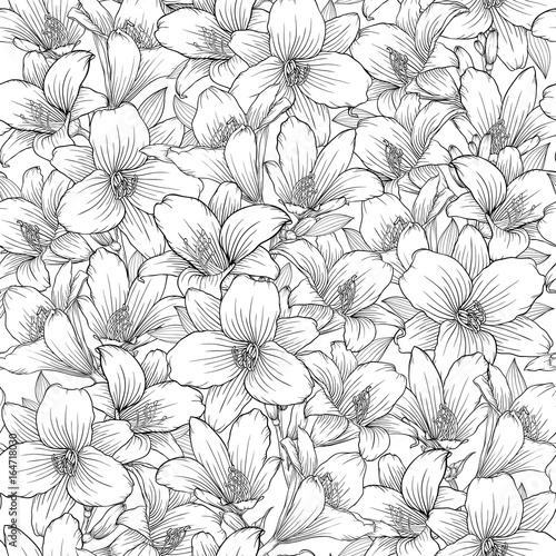 Beautiful monochrome, black and white seamless pattern with lilies. Hand-drawn contour lines.