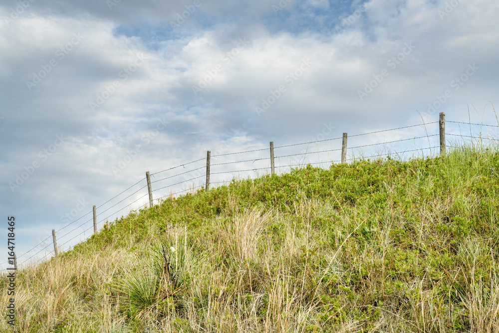 Fototapeta premium barbed wire fence in Nebraska Sandhills