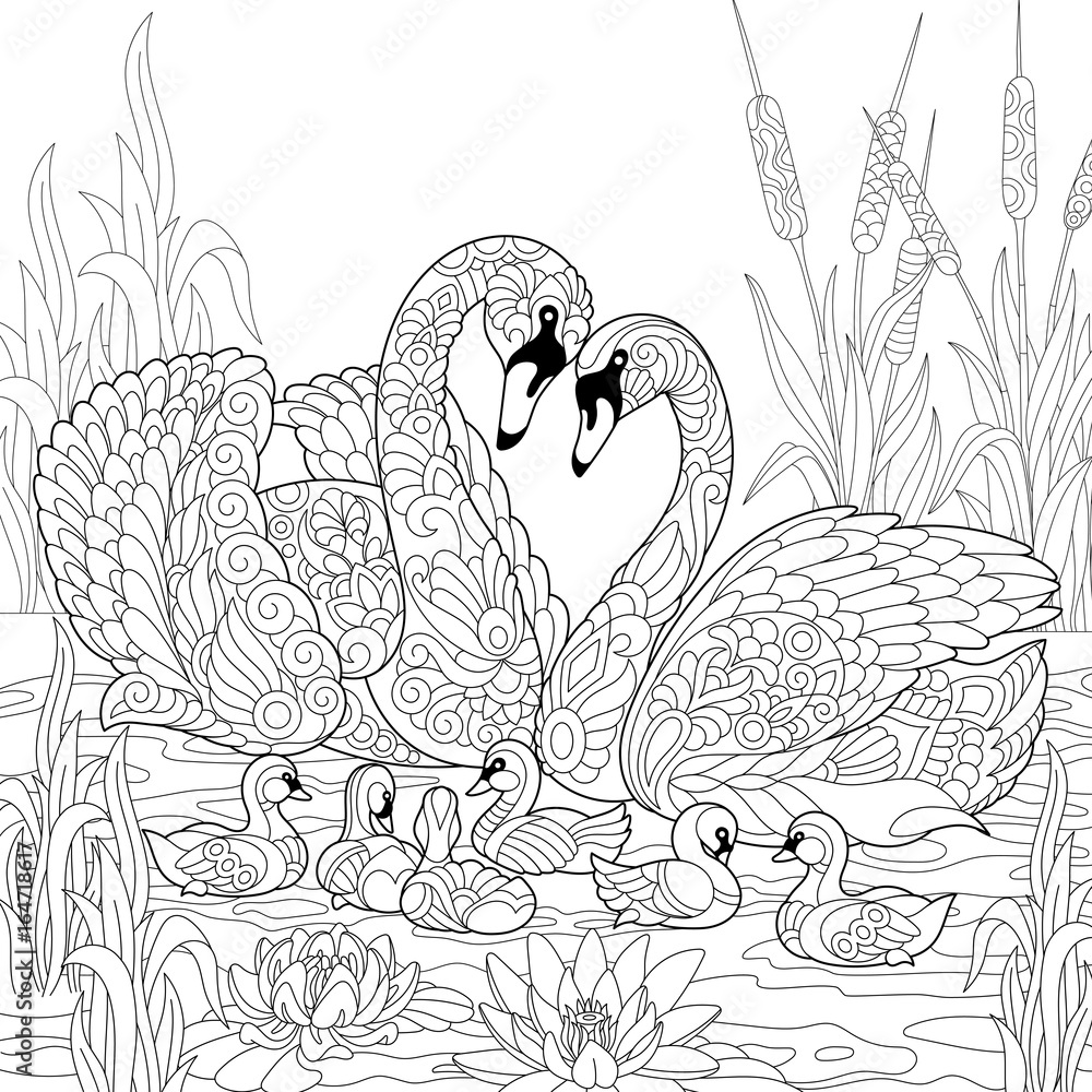 Fototapeta premium Coloring book page of swan birds family, lotus flowers and reed grass. Freehand sketch drawing for adult antistress colouring with doodle and zentangle elements.