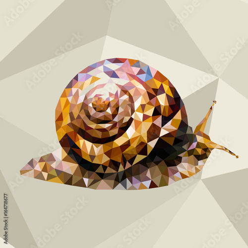 Low poly snail  . Poligonal background.   Vector design.  Geometric triangular modern illustration.