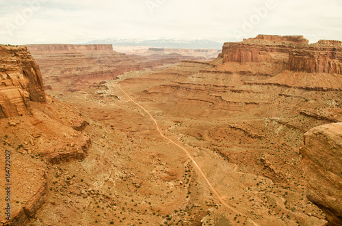 Canyonlands View