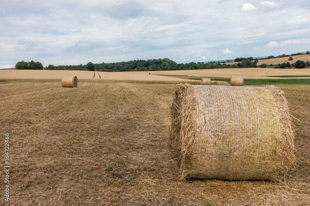 Fototapeta premium Strohrollen auf dem Feld