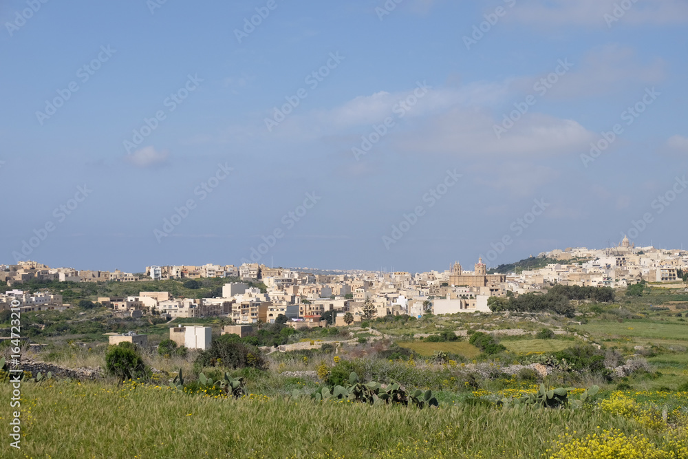 Obraz premium Town Mgarr Malta