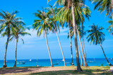 Tropical paradise beach with palm (coconut) tree in Phu Quoc island, Vietnam.