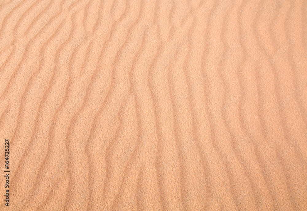 Sand Dune texture background Sand Dune texture background