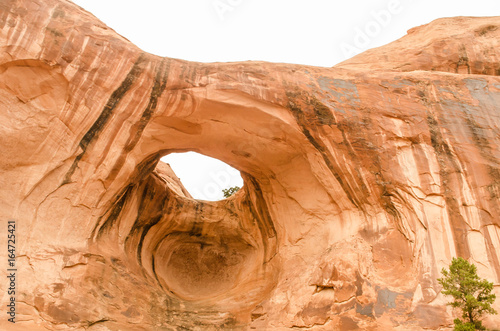 Bowtie Arch2