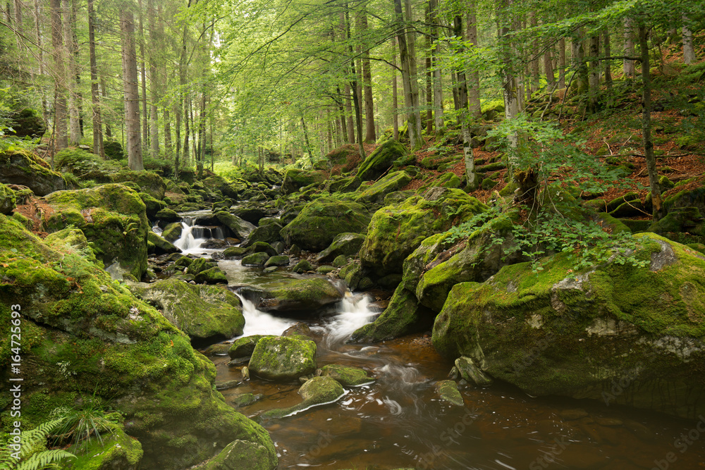 Waterfall in Bayerischer Wald Nationalpark Waterfall in Bayerischer Wald Nationalpark