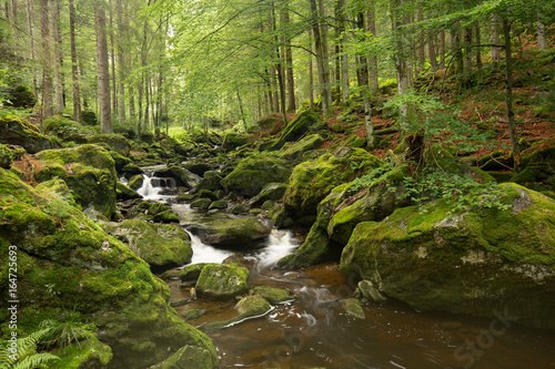 Waterfall in Bayerischer Wald Nationalpark
