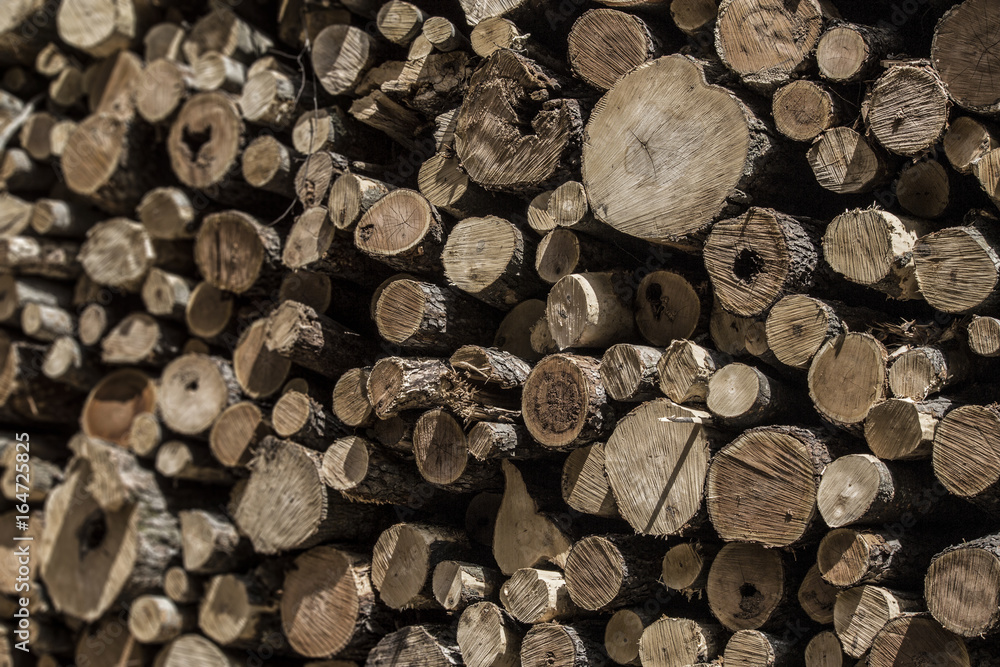 Logging tree stump grain textures deforestation. Logging tree stump grain textures deforestation.