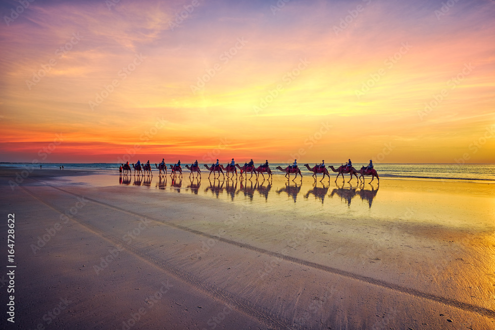Camels at sunset on Cable Beach, Broome, Western Australia - obrazy, fototapety, plakaty 