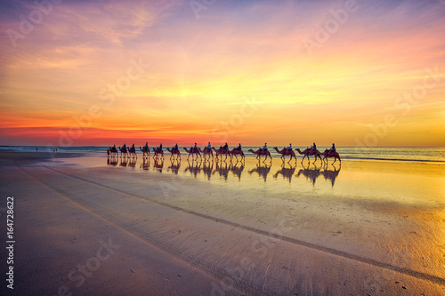 Camels at sunset on Cable Beach, Broome, Western Australia