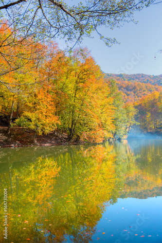 Autumn landscape in  seven lakes  Yedigoller Park Bolu  Turkey