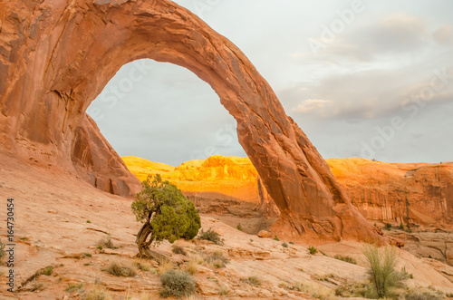 Corona Arch at Sunset