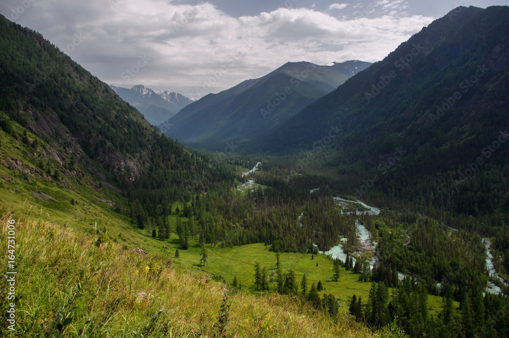 Naklejka premium Mountain valley with a river and a thick forest of pine trees with high, steep slopes, view from above Kucherla Altai Mountains Siberia, Russia