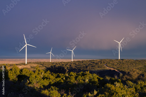 wind turbines, stormy sky photo