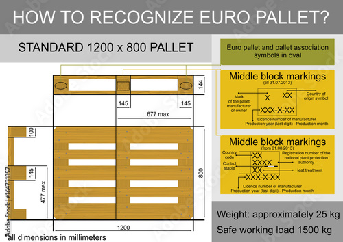 Plan view with dimensions of a euro pallet. Flat vector. photo