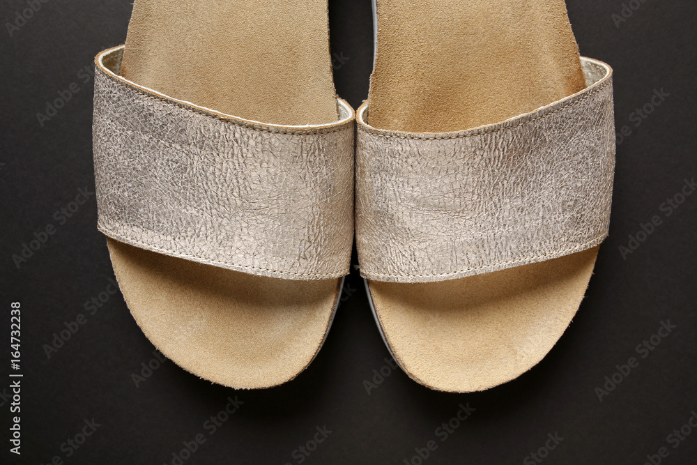 elegant silver female shoes on black background elegant silver female shoes on black background