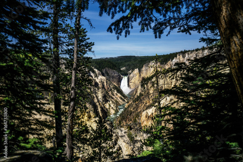 Waterfall in the Canyon through the Trees