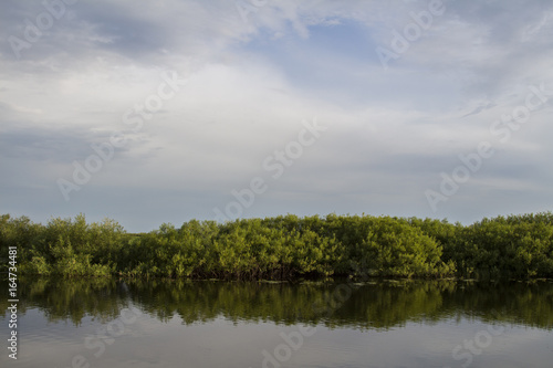 River in the wild