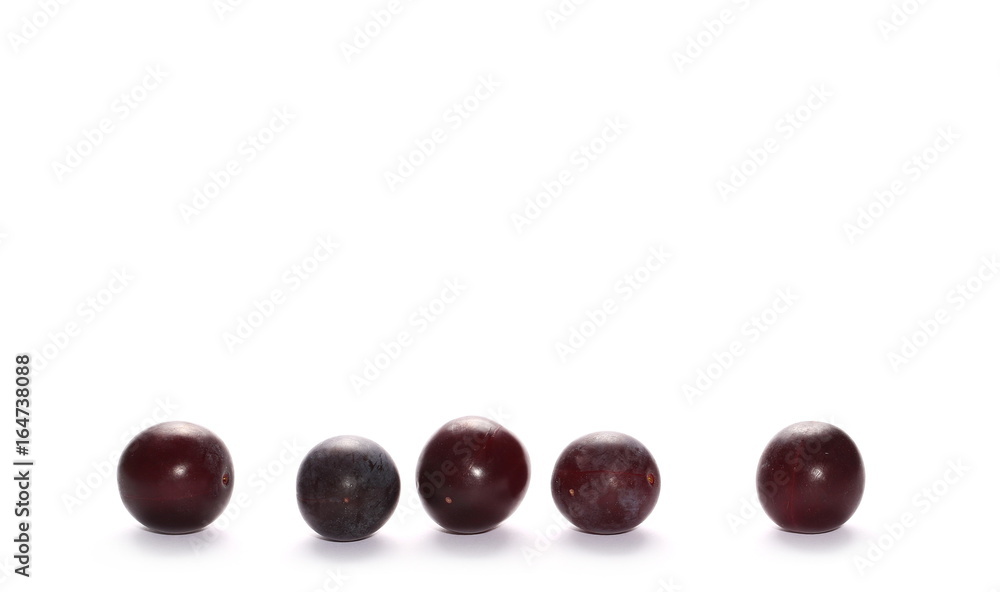 Wild plums with leaves and twigs, ringlov, isolated on white background Wild plums with leaves and twigs, ringlov, isolated on white background
