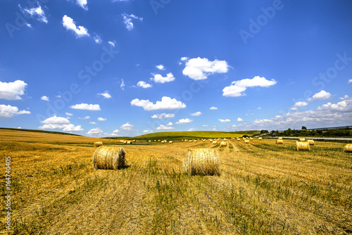 Haystacks after harvest
