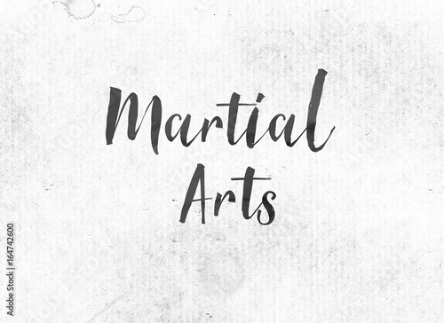 Marial Arts Concept Painted Ink Word and Theme