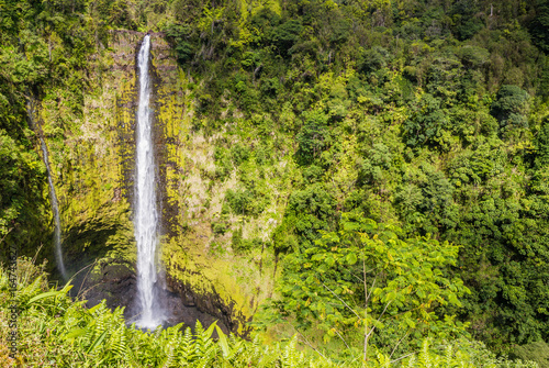 Akaka Falls, Hawaii, USA, colour landscape photo of waterfall amidst a lush rainforest