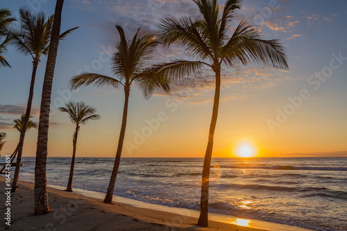 Hawaiian sunset as seen from a beach with palm trees in silhouette