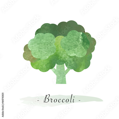 Colorful watercolor texture vector healthy vegetable broccoli