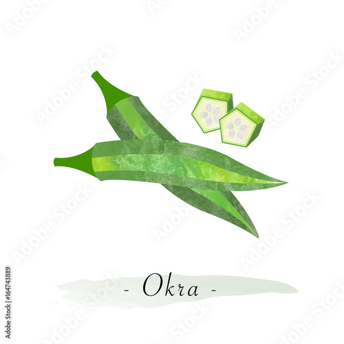 Colorful watercolor texture vector healthy vegetable okra gumbo