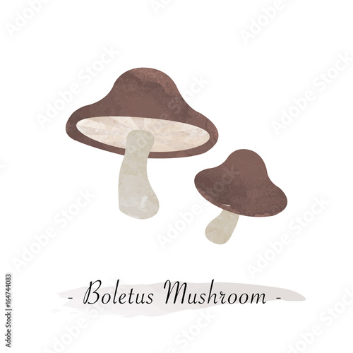 Colorful watercolor texture vector healthy vegetable boletus mushroom