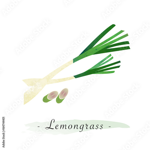 Colorful watercolor texture vector healthy vegetable lemongrass