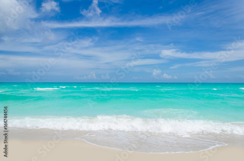 Miami tropical beach and ocean © ellensmile