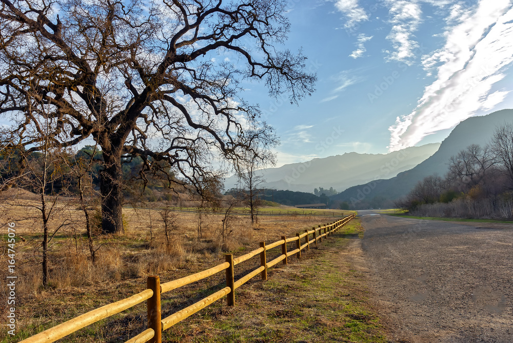 Autumn country Southern California landscape with rural fence, bare oak tree