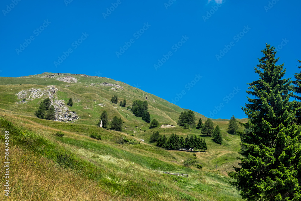 Mountain peaks, meadows and pine trees sign in Grana Valley, Cuneo, Piedmont, Italy.
