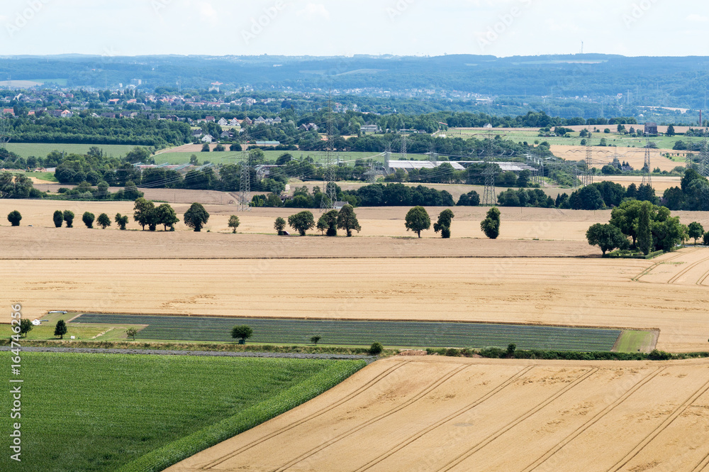 Obraz premium Luftaufnahme / Getreidefelder