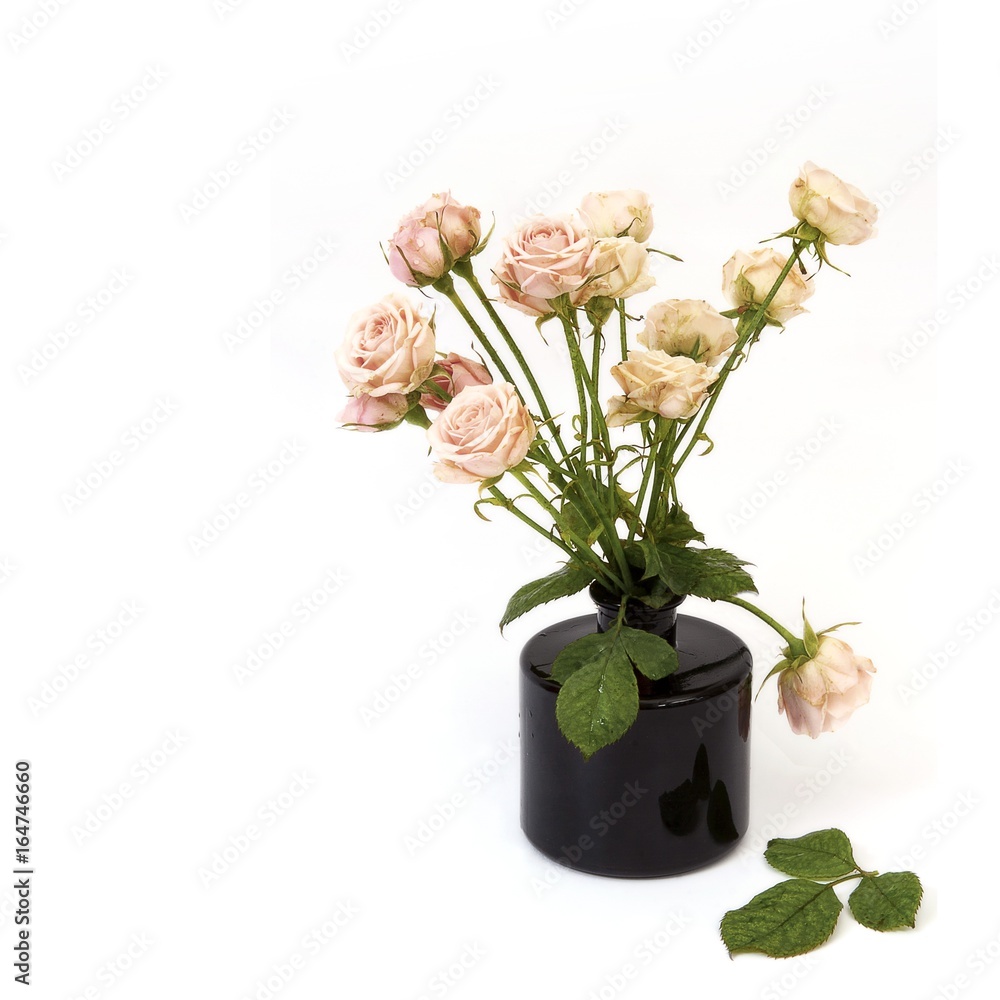 Bouquet of roses in a vase on a white background Bouquet of roses in a vase on a white background