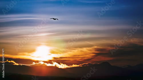 Sun setting behind a distant Mountain (Ben Lomond) while a flying seagull crosses the frame. Stirlingshire, Stirling, Scotland, UK
