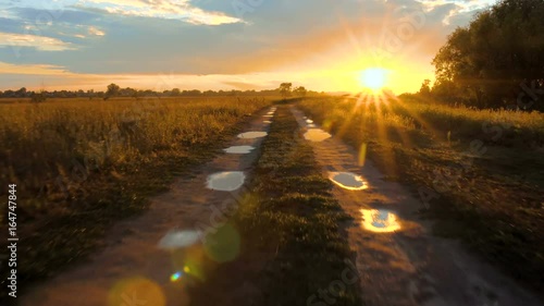 Wallpaper Mural Driving the Country road with Sky and sun reflections in the pools along field Torontodigital.ca