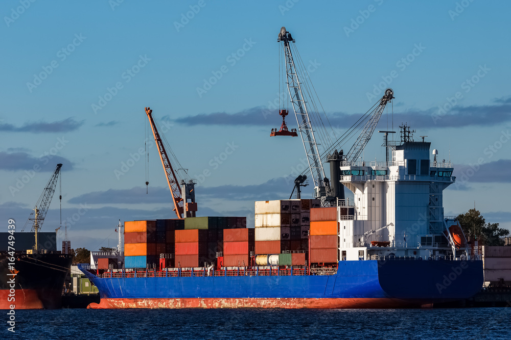 Fototapeta premium Blue container ship