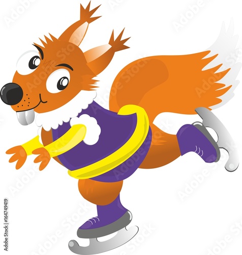 squirrel