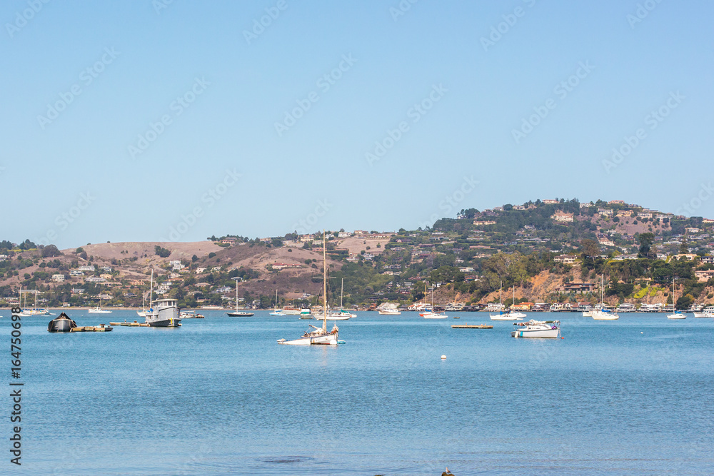 Views of Richardson Bay