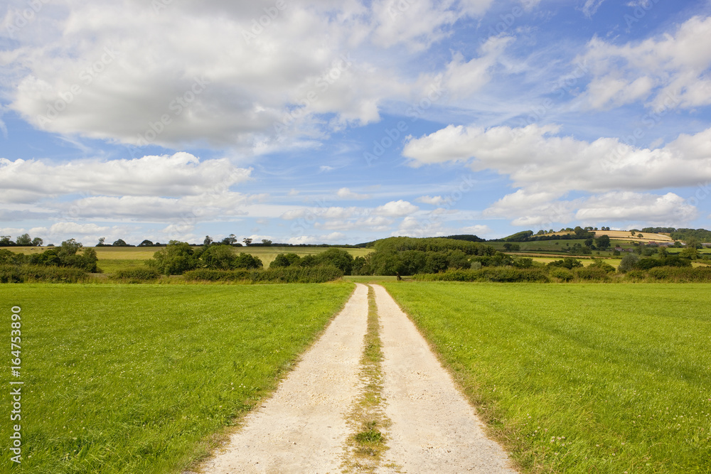 limestone track and countryside limestone track and countryside