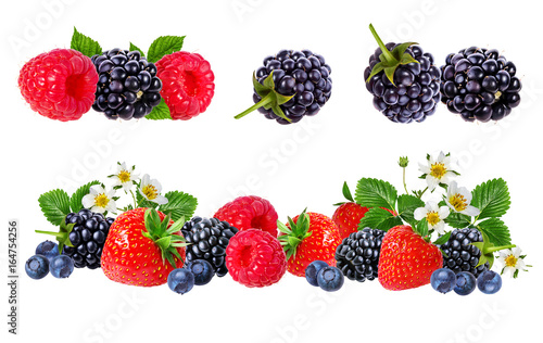 Berries collection. Raspberry  blueberry  currant  blackberry strawberry isolated