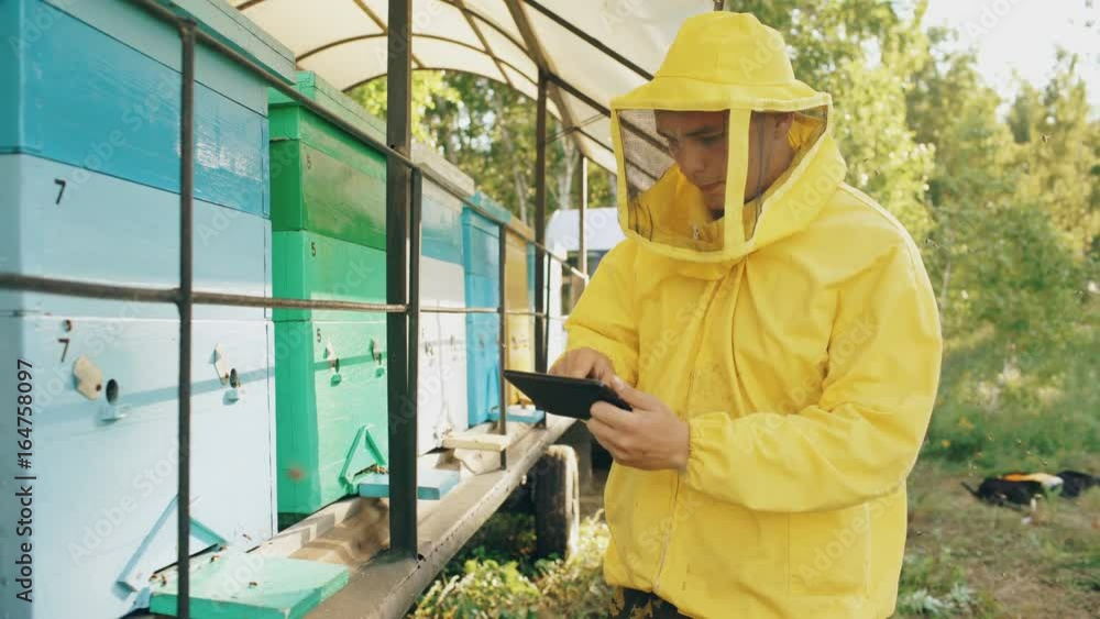 Beekeeper man with tablet computer checking wooden beehives before harvesting honey in apiary Beekeeper man with tablet computer checking wooden beehives before harvesting honey in apiary