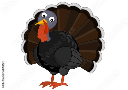cartoon turkey standing and smiling - isolated vector / illustration for children